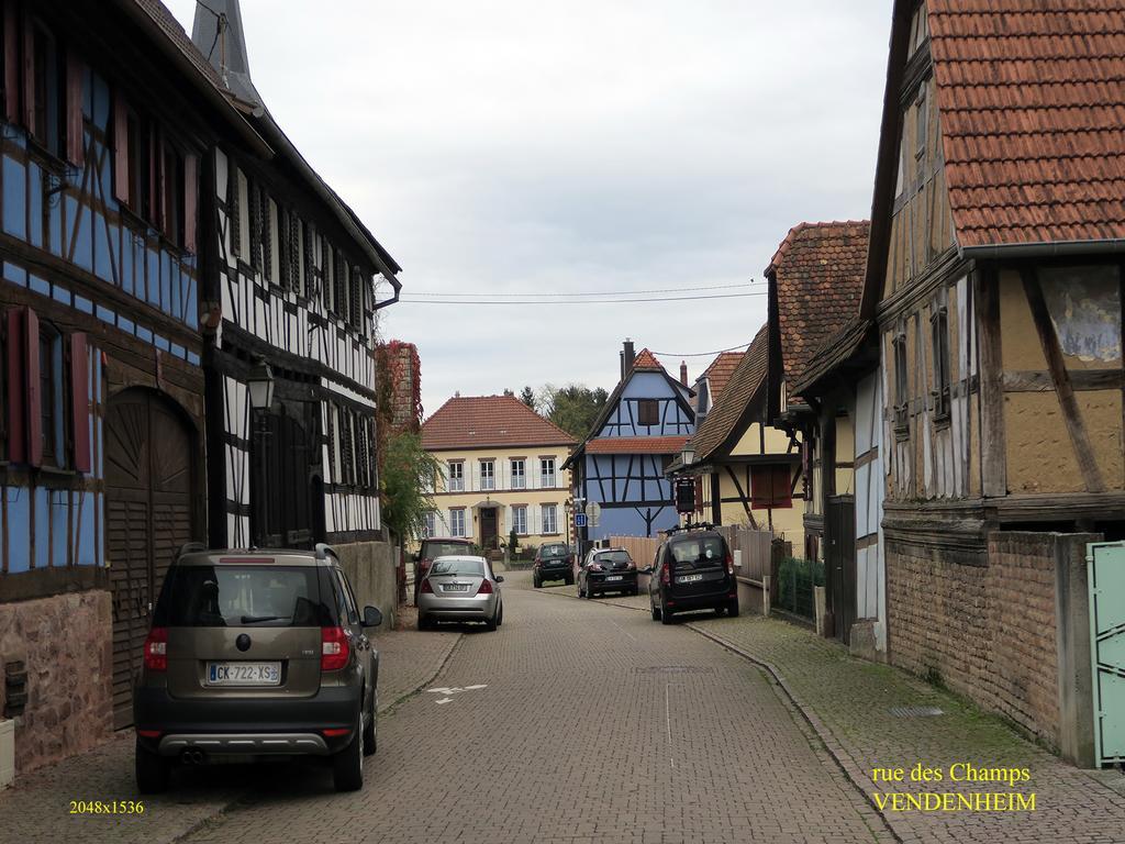 Bed and Breakfast La Cour Des Amis Vendenheim Exterior foto